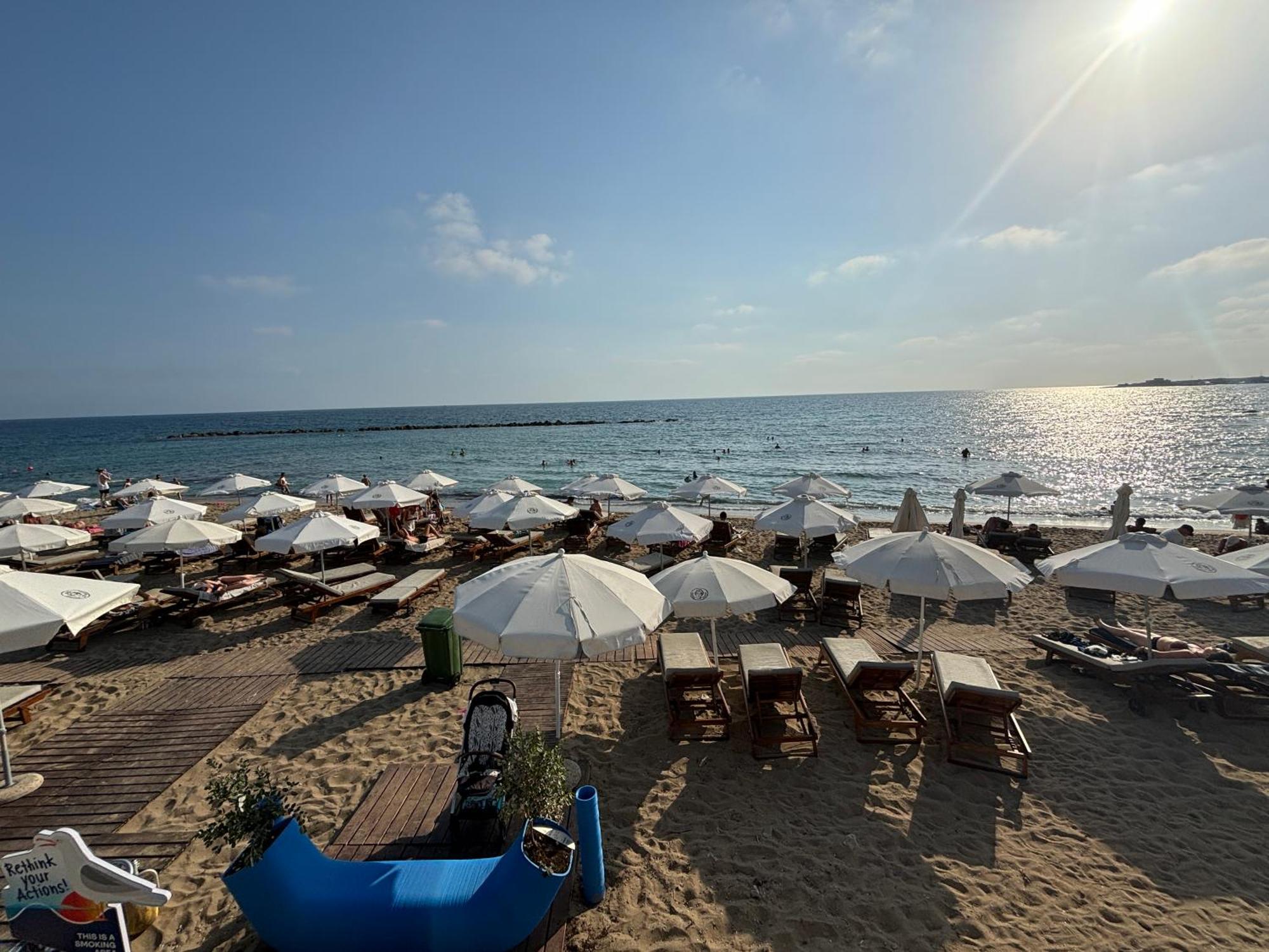 1b Seaside Orchid, Sea, Center Pafos